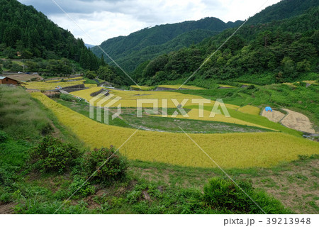 広島県にある棚田100撰に選ばれた「井仁の棚田」 広島県にある棚田100撰に選ばれた「井仁の棚田」 39213948