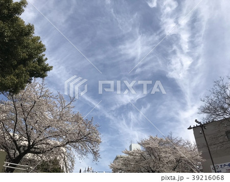 春の雲 39216068