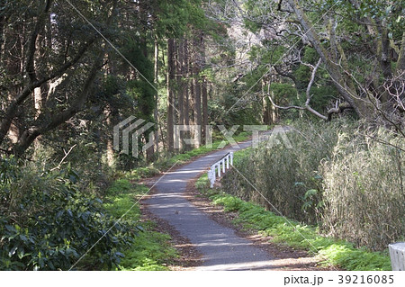 茂原市 山道 39216085