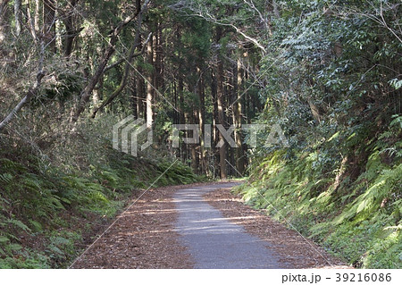 茂原市 山道 39216086