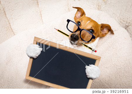 office worker boss dog 39216951