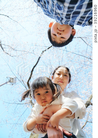 ファミリー,桜の木下で 39216960