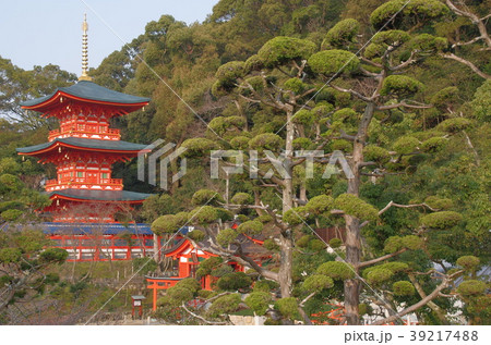 須磨寺 39217488