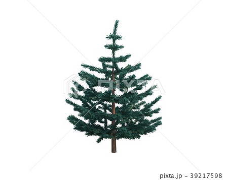 tree fir 39217598