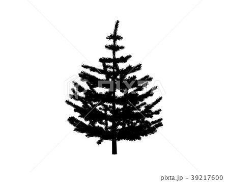 black contour fir 39217600