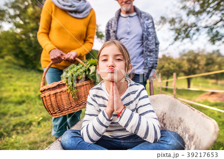 Senior couple with grandaughter gardening in the 39217653