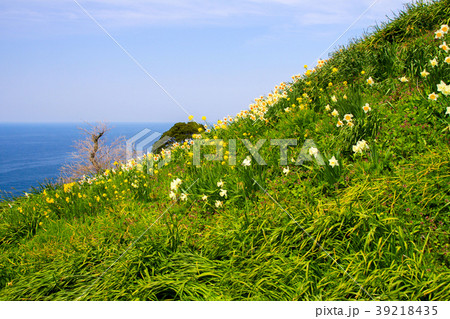 越前海岸 39218435