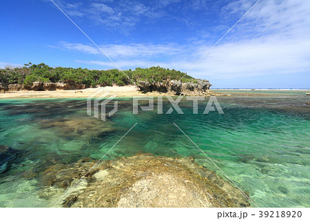 備瀬崎 備瀬崎 39218920