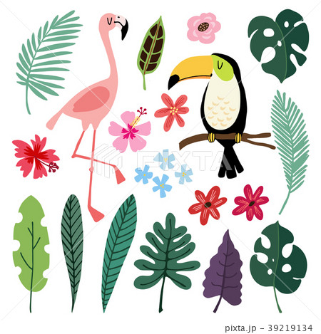 Summer tropical graphic elements. Toucan and Summer tropical graphic elements. Toucan and 39219134