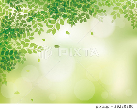新緑 リーフのフレーム素材 のイラスト素材