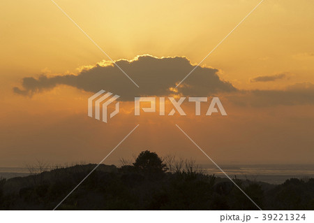 大牟田市　甘木山公園の夕暮れ、 39221324