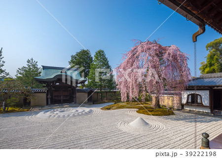 春の高台寺 春の高台寺 39222198
