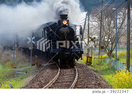 春のSL人吉 春のSL人吉 39222347