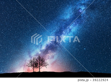 Trees against starry sky with Milky Way. Space Trees against starry sky with Milky Way. Space 39222924