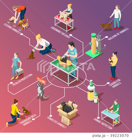 Animal Care Volunteers Isometric Flowchart 39223070