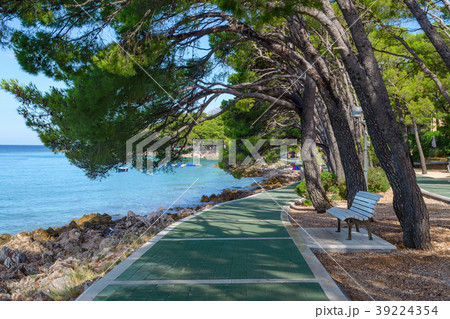 a bench in shadow of pines, Brela, Croatia a bench in shadow of pines, Brela, Croatia 39224354