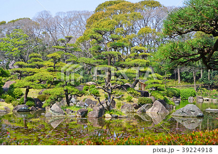 大阪 茶臼山の日本庭園の写真素材