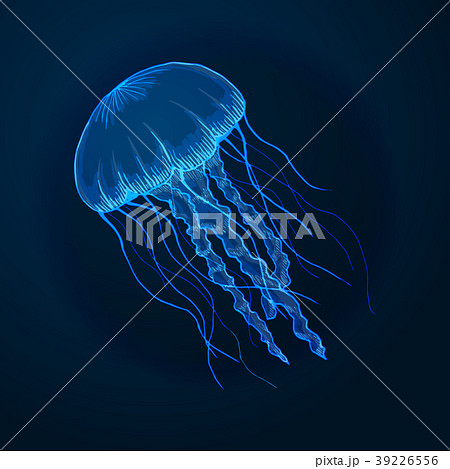 Hand drawn sketch isolated jellyfish, marine 39226556