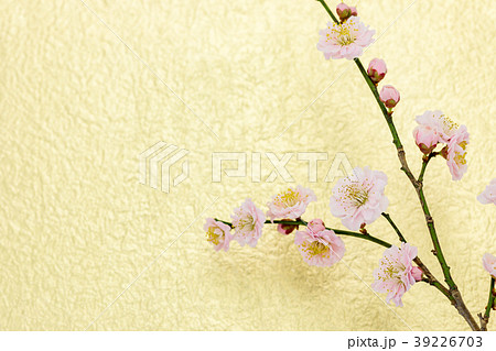 梅の花　わずかに桃色がかった八重の花　もみがみ砂子振の金色和紙バック 39226703