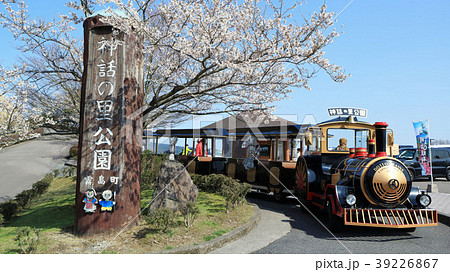 桜とロードトレイン（ポッポ号） 39226867