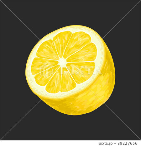 Half of fresh lemon fruit vector Illustration on a 39227656