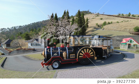 桜とロードトレイン（ポッポ号） 39227730