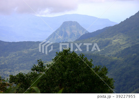 暑寒別岳雨竜沼コースから見る黄金山 39227955