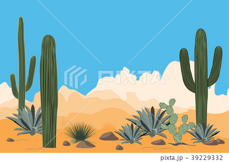 Scenery of the arid desert. Cactus landscape  39229332