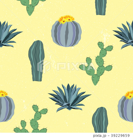 Cacti seamless pattern. Vector illustration 39229659