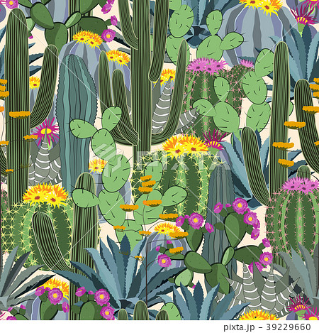 Seamless pattern with cactus. Wild cactus forest 39229660