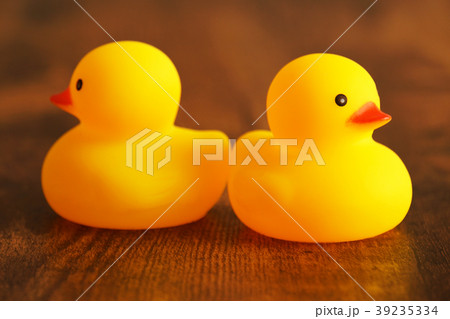 ケンカするアヒル 39235334