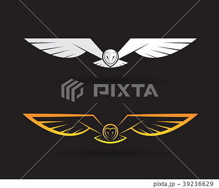 Vector of an owl design on black background. Bird. Vector of an owl design on black background. Bird. 39236629