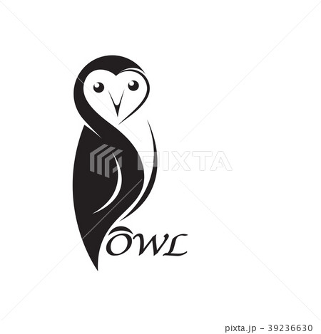 Vector of an owl design on white background. Bird. 39236630