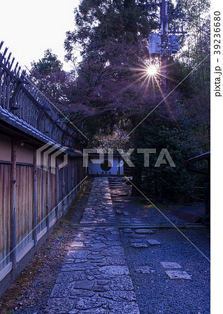 岡林院 岡林院 39236680