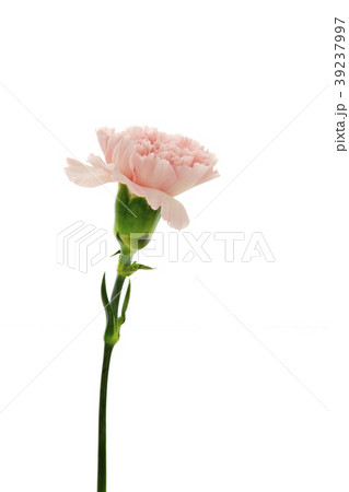 母の日 マザーズデー マザーズデイ 39237997