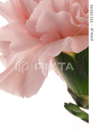 母の日 マザーズデー マザーズデイ 39238046