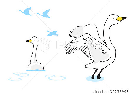 かわいいディズニー画像 心に強く訴えるかわいい 白鳥 の 湖 イラスト