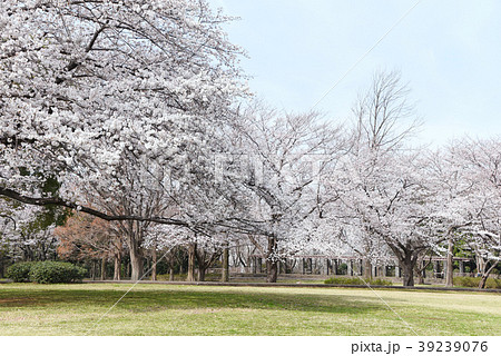 大庭城址公園 39239076