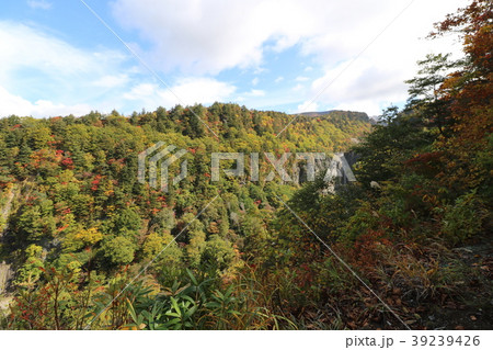 沼尻登山口から安達太良山への途中の白糸の滝 沼尻登山口から安達太良山への途中の白糸の滝 39239426