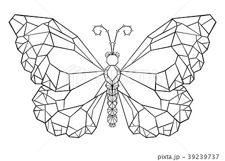 Polygonal butterfly monarch 39239737