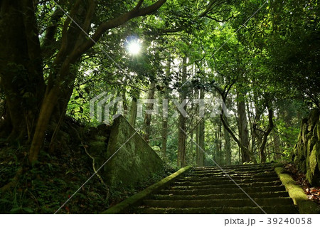 島根県 森の中の石段と陽射し 島根県 森の中の石段と陽射し 39240058