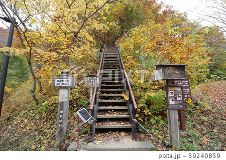会津駒ヶ岳の滝沢登山口入口 39240859