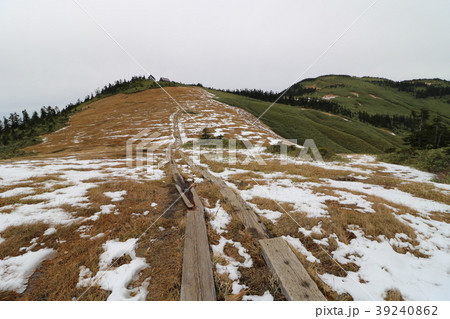 滝沢登山口から会津駒ヶ岳山頂へ 39240862