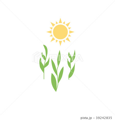 Growth Under the Sun 39242835