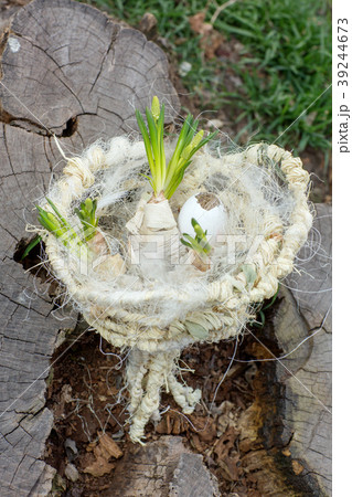 Eco bouquet of feathers. close-up 39244673