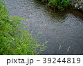 小川 39244819