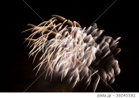 Beautiful fireworks on night sky 39245592