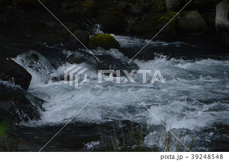 渓流（岩尾別川／北海道斜里郡斜里町） 39248548