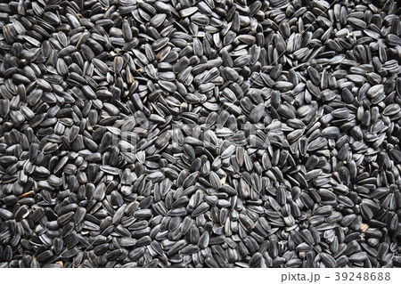 Black sunflower seeds. Sunflower seeds background. 39248688