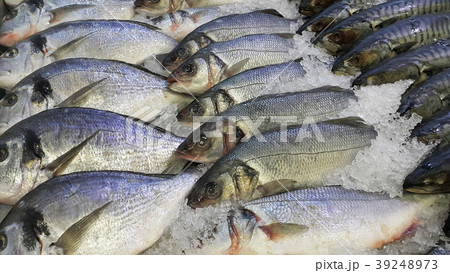 Fresh cooled fish on ice for sale in market 39248973